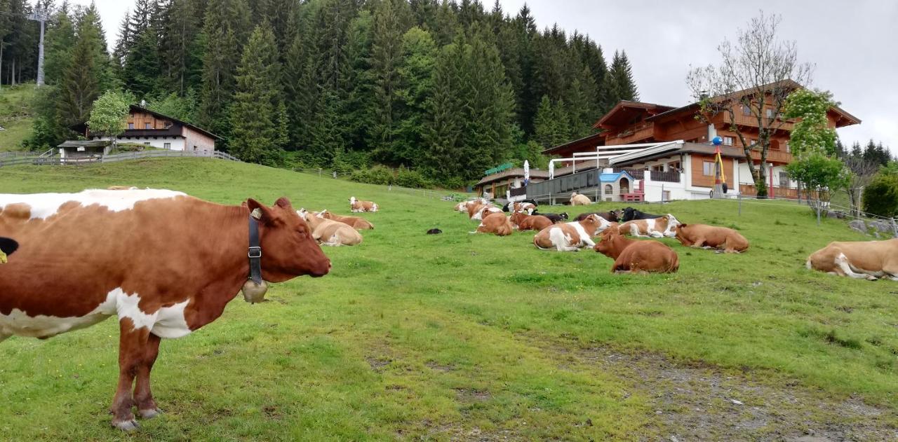 Hotel Berghaus Koglmoos Auffach Esterno foto