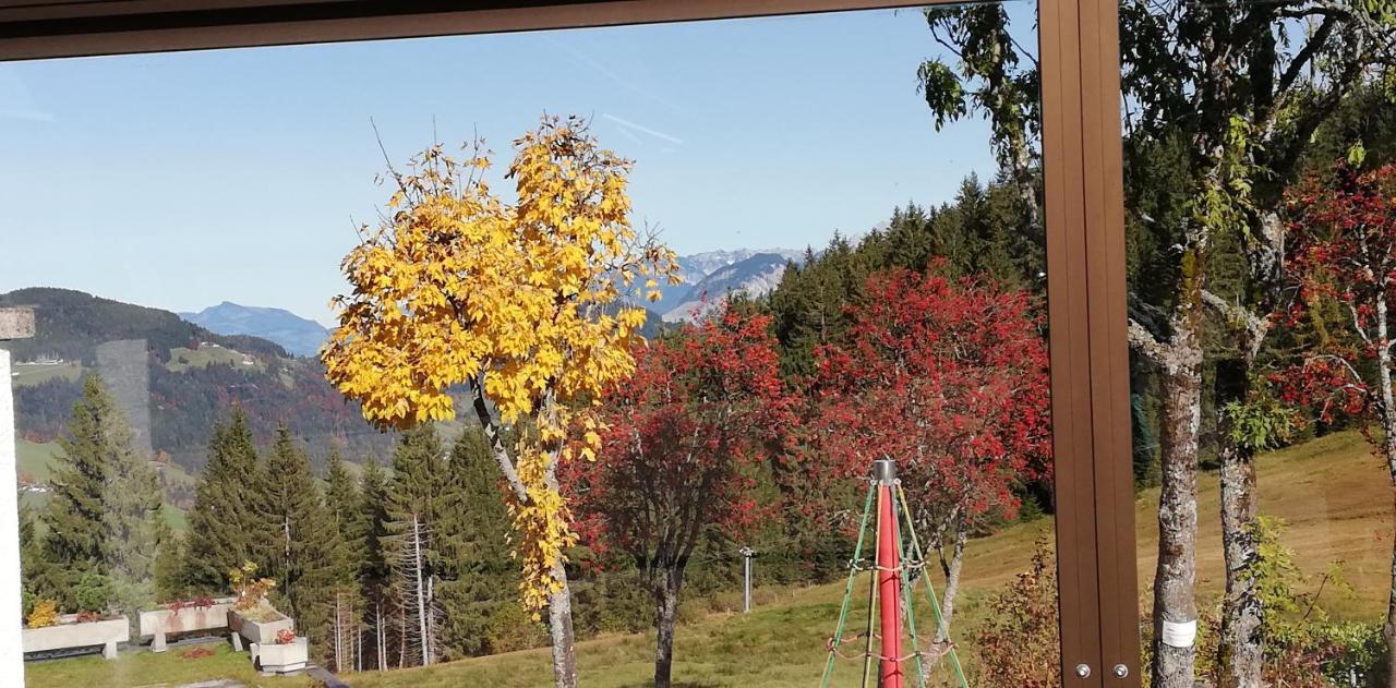 Hotel Berghaus Koglmoos Auffach Esterno foto