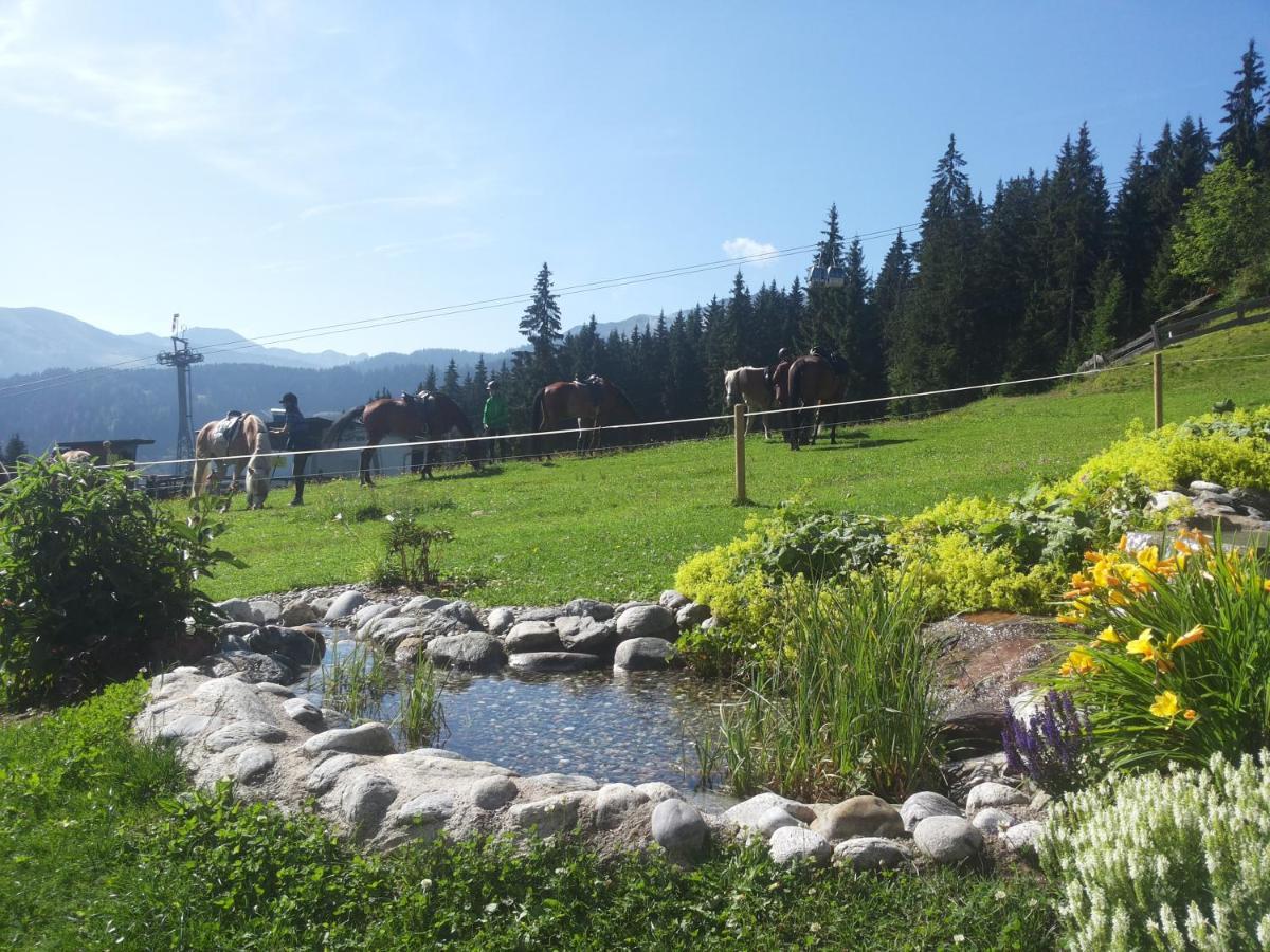 Hotel Berghaus Koglmoos Auffach Esterno foto