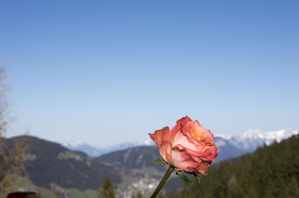 Hotel Berghaus Koglmoos Auffach Esterno foto