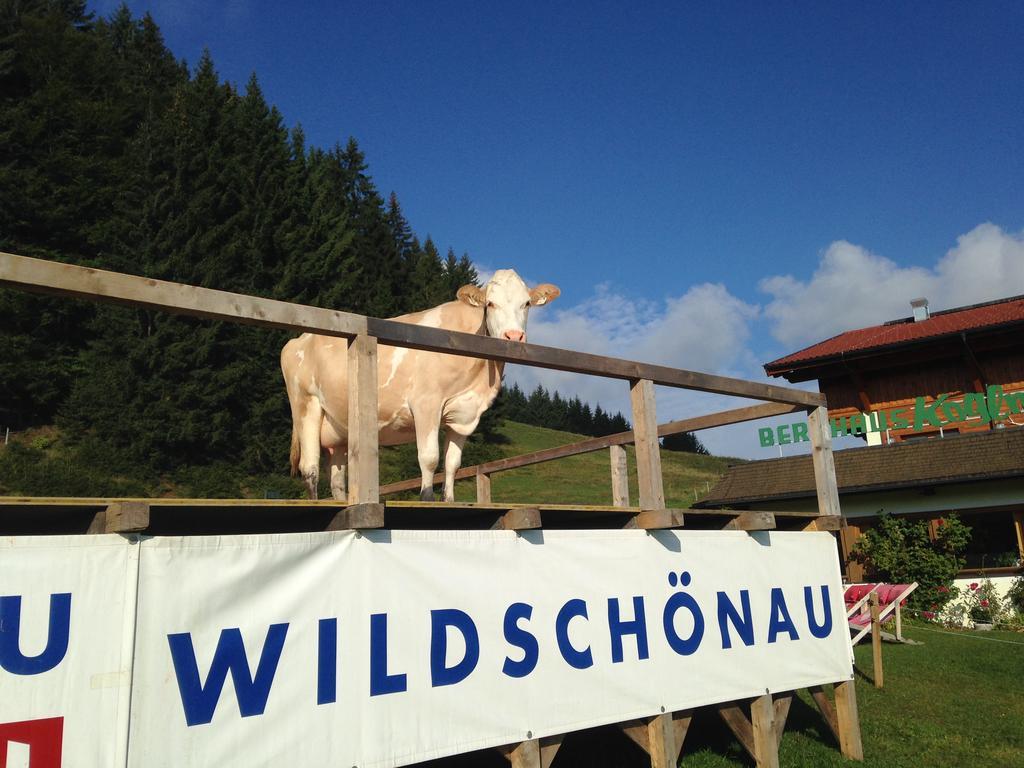 Hotel Berghaus Koglmoos Auffach Esterno foto